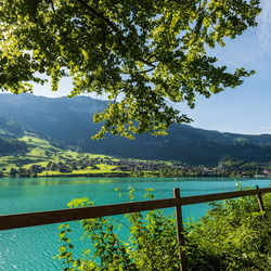 Grimsel Furka Lungere 2024